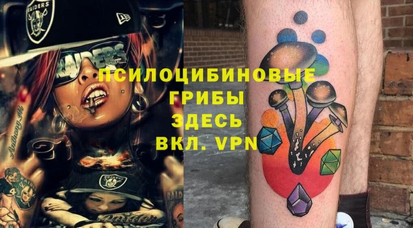 мдпв Абаза