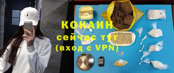 мдпв Абаза
