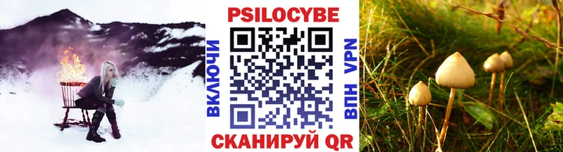 KRAKEN маркетплейс  Никольское  Галлюциногенные грибы Psilocybe 